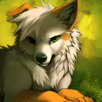 avatar-76561198029791245