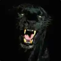 avatar-76561198035597357