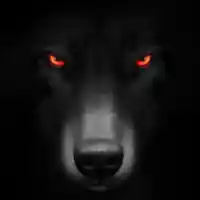 avatar-76561198056554576