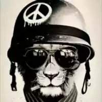 avatar-76561198087790301