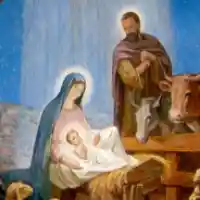 avatar-76561198089345268