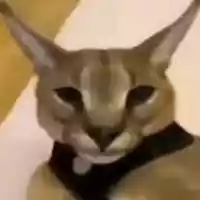 avatar-76561198139947378