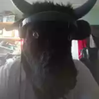 avatar-76561198141577948