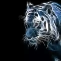 avatar-76561198177865865