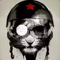 avatar-76561198300115653