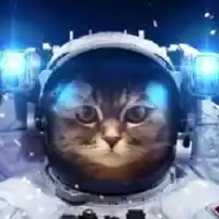 avatar-76561198309393848