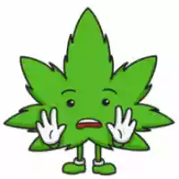 avatar-76561198386174228