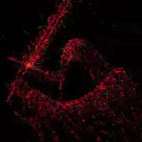 avatar-76561198793688301