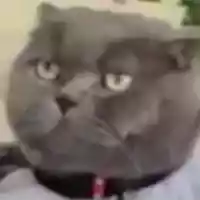 avatar-76561198979478738