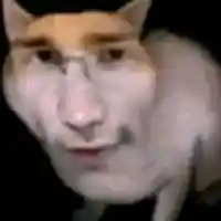 avatar-76561198982420960