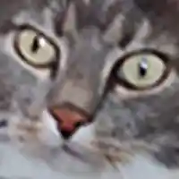 avatar-76561199064238073