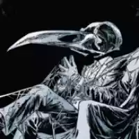 avatar-76561199122501405