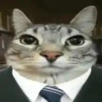 avatar-76561199225395779