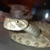 avatar-76561199427013023