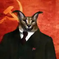 avatar-76561199467548196