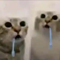 avatar-76561199601433447
