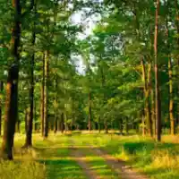 avatar-76561199734999016