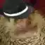 Steam avatar of 76561197966363212