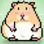 Steam avatar of 76561197982562174