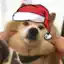 Steam avatar of 76561198063856623