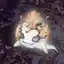 Steam avatar of 76561198130610772
