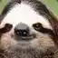 Steam avatar of 76561198195776209