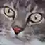 Steam avatar of 76561198219071503