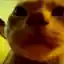 Steam avatar of 76561198251686128