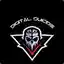 Steam avatar of 76561198357631915