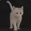 Steam avatar of 76561198971477161