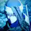 Steam avatar of 76561199005260472