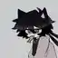Steam avatar of 76561199790956851