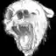 Steam avatar of 76561199832438582