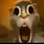 Steam avatar of 76561199873583098