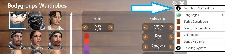 How do I view the interface as an Admin