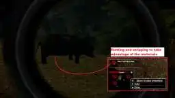 To hunt or be hunted