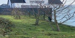 Micro-crèche les-girafons