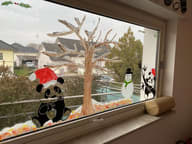 Micro-crèche les-ptits-pandas