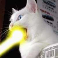 avatar-zworld-76561198129035434
