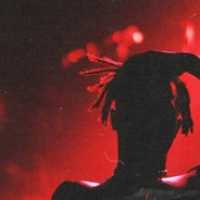 avatar-zworld-76561198329854949